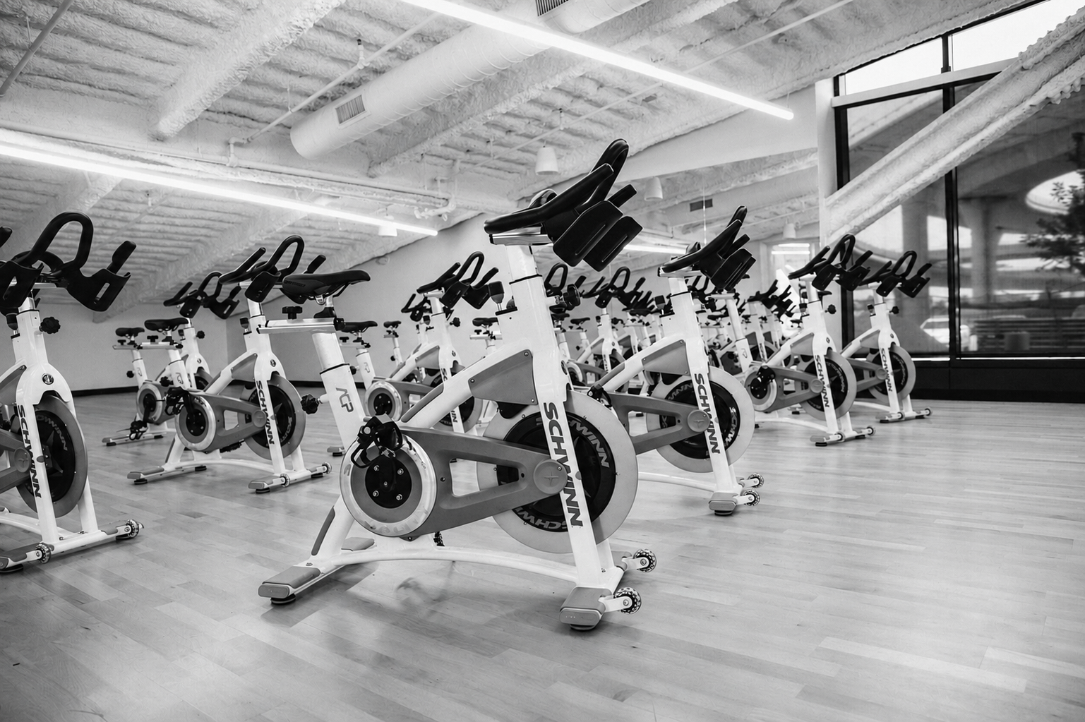 Rows of Schwann cycle bikes in the TILT at EF cycle studio
