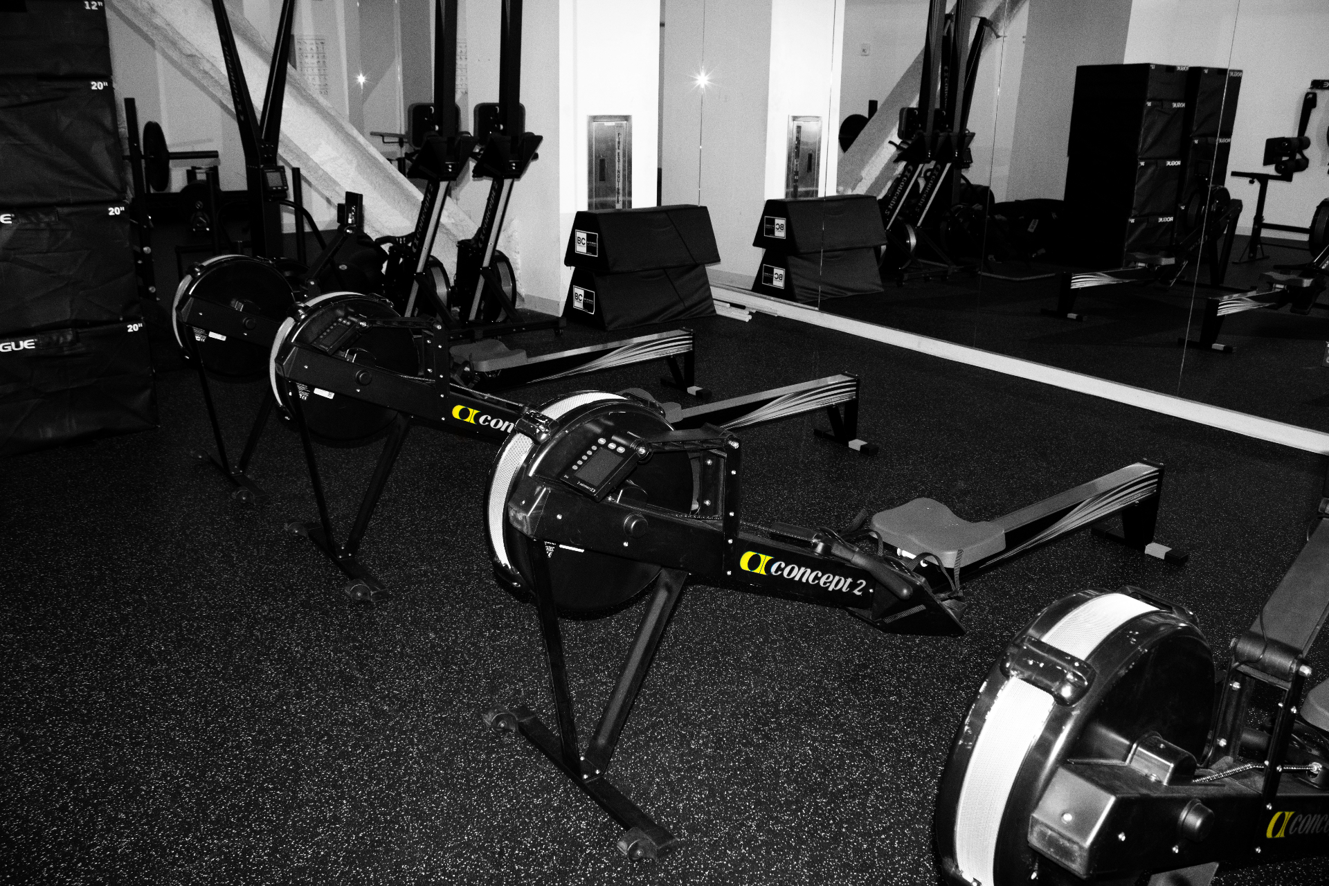 Concept 2 rowers lined up in the training space