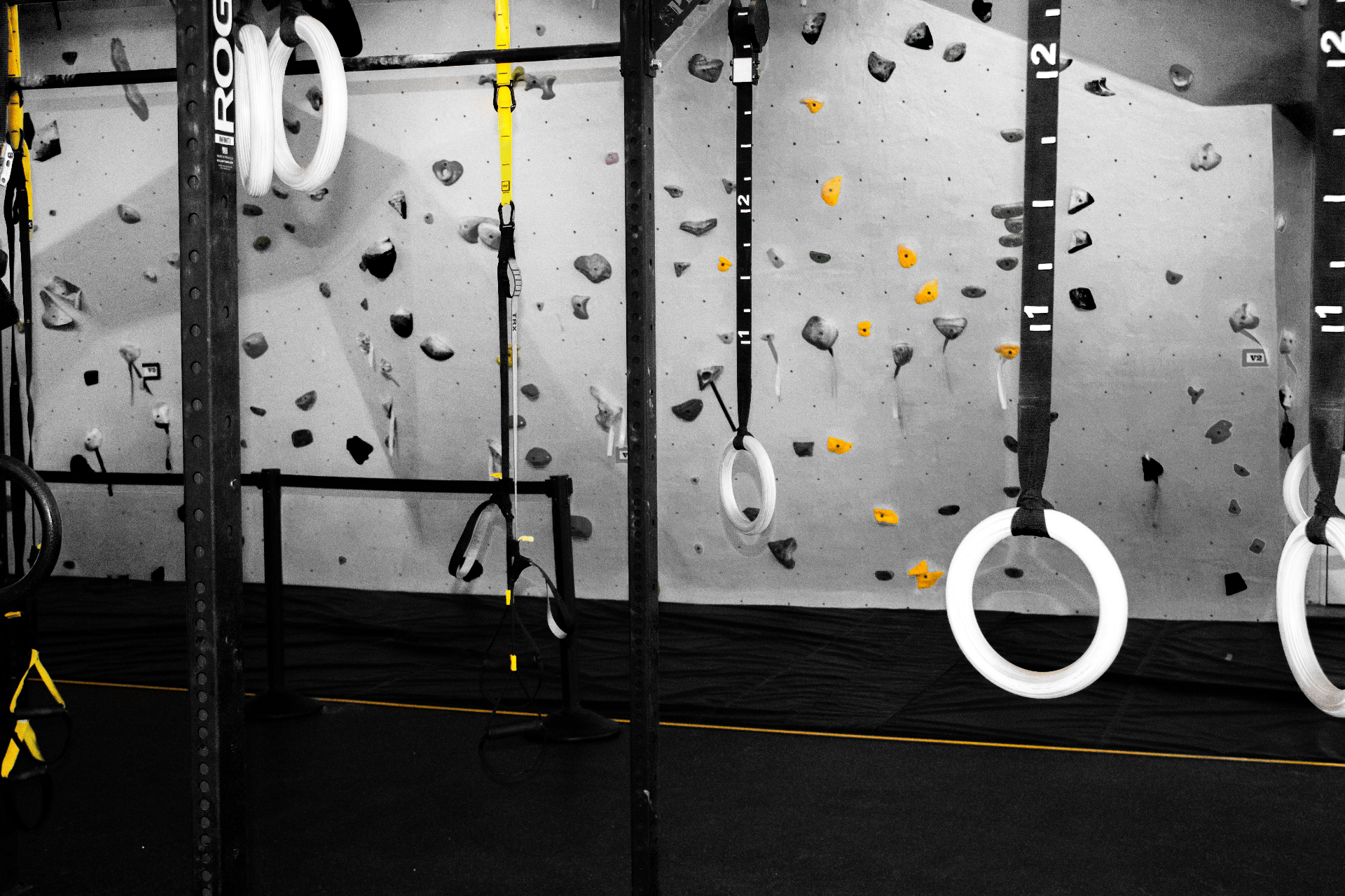 Gymnastic rings hanging in front of the climbing wall at TILT at EF