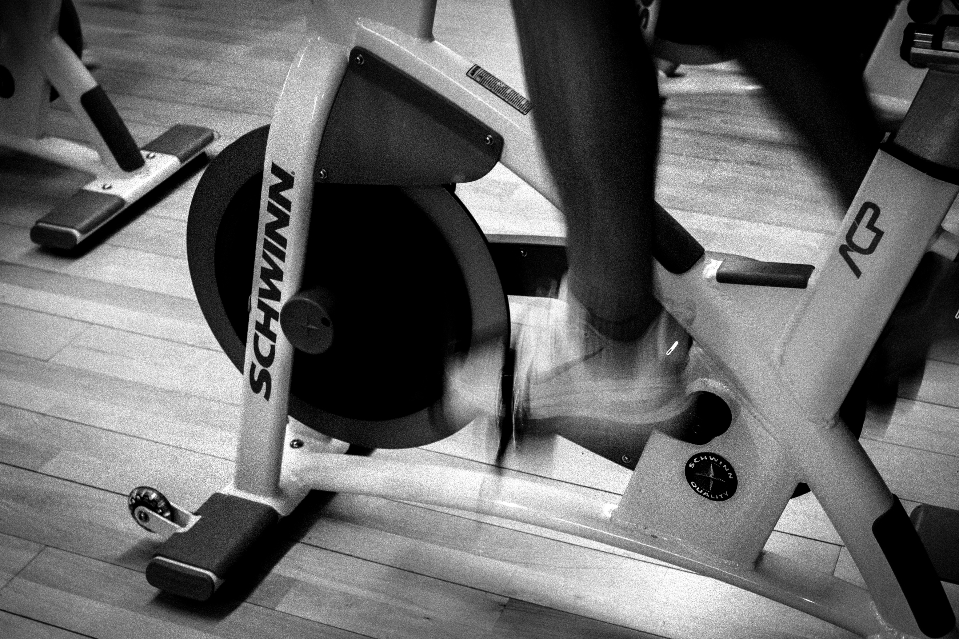 Cycle